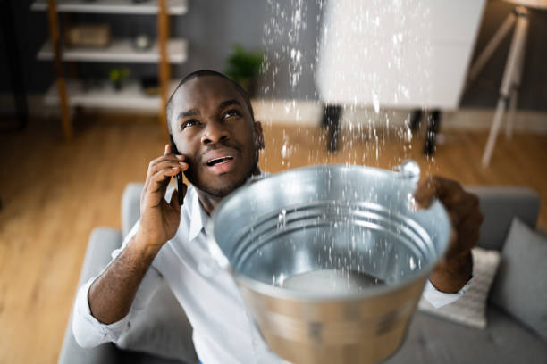 Best Flood damage cleanup  in Keewatin, MN
