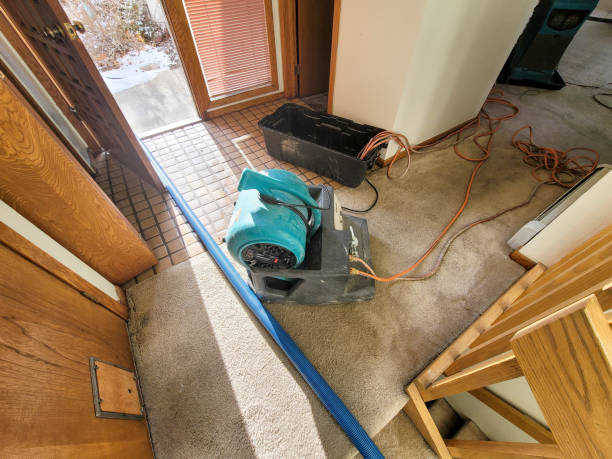 Best Water damage restoration near me  in Keewatin, MN