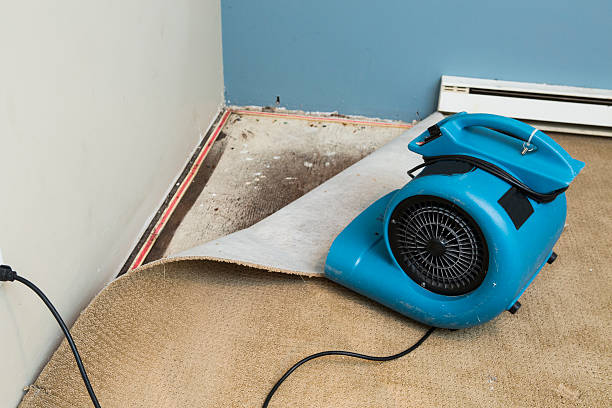 Best Water damage contractors near me  in Keewatin, MN